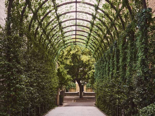 The Emory, England — The Emory