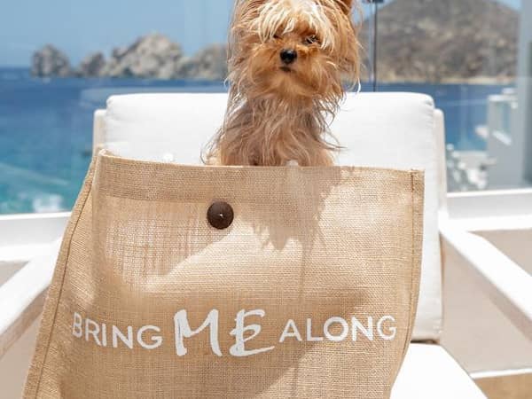 ME Cabo By Melia, Mexico — ME Cabo By Melia