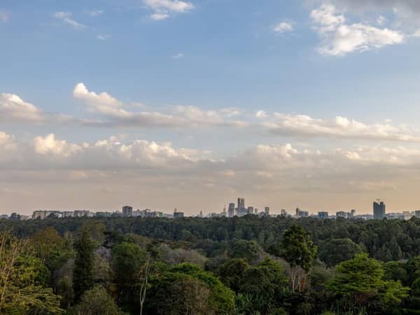 Gem Forest Hotel Nairobi- MGallery Collection, Kenya — Gem Forest Hotel Nairobi- MGallery Collection