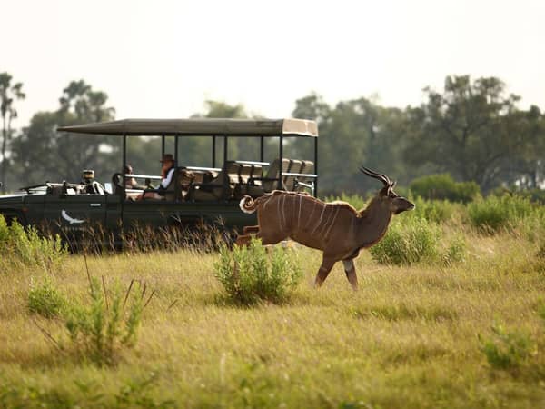 andBeyond Nxabega Okavango Tented Camp, Botswana — andBeyond Nxabega Okavango Tented Camp