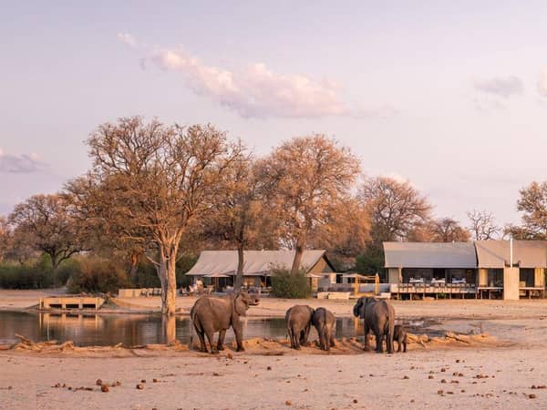 Wilderness Linkwasha, Zimbabwe — Wilderness Linkwasha