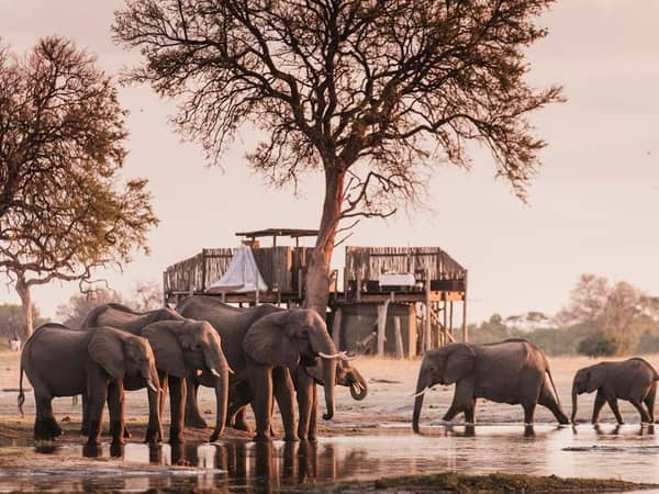 Wilderness Linkwasha, Zimbabwe — Wilderness Linkwasha