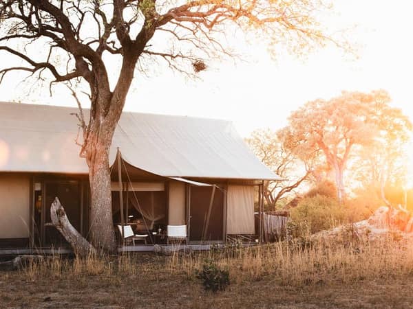 Wilderness Linkwasha, Zimbabwe — Wilderness Linkwasha