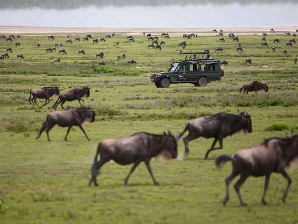 andBeyond Serengeti under Canvas Camp, Tanzania — andBeyond Serengeti under Canvas Camp