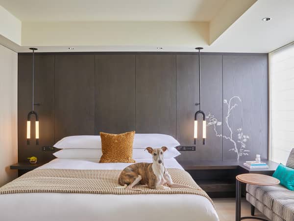 Kimpton Shinjuku Tokyo, Japan — Kimpton Shinjuku Tokyo