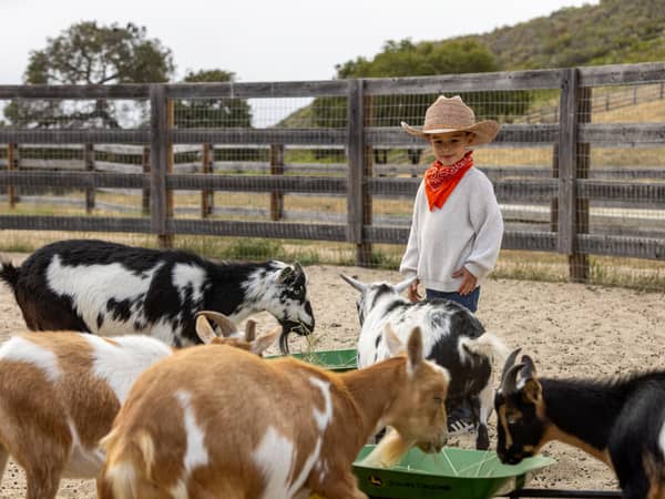 Carmel Valley Ranch, United States — Carmel Valley Ranch