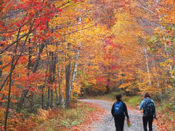 Canyon Ranch - Massachusetts, United States — Canyon Ranch - Massachusetts - Fall foliage in Lenox, Massachusetts