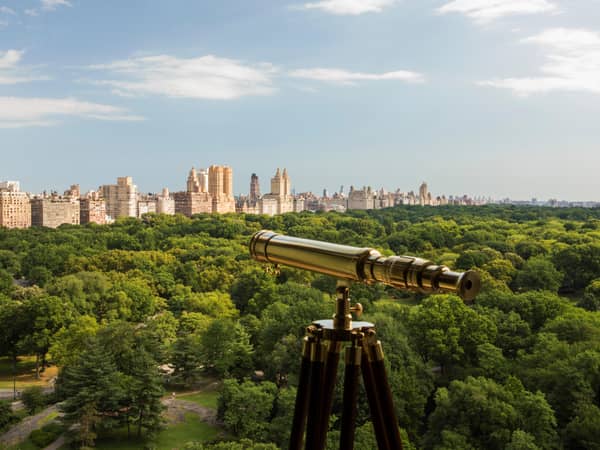 The Ritz-Carlton New York, Central Park, United States — The Ritz-Carlton New York, Central Park - High Central Park Views from select rooms and suites