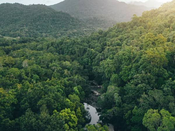 Silky Oaks Lodge, Australia — Silky Oaks Lodge