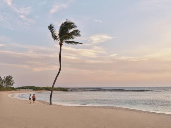The Cove at Atlantis, The Islands Of The Bahamas — The Cove at Atlantis