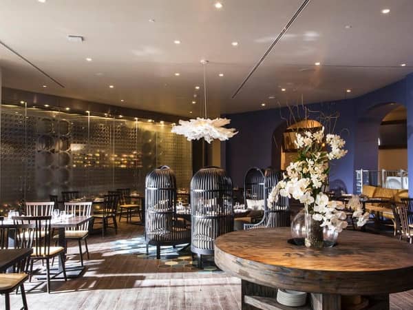 Hyatt Ziva Rose Hall, Jamaica — Hyatt Ziva Rose Hall