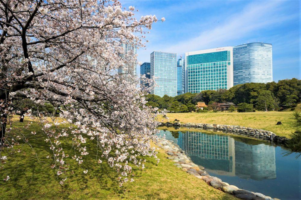 Conrad Tokyo