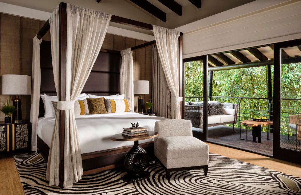Forest Suite