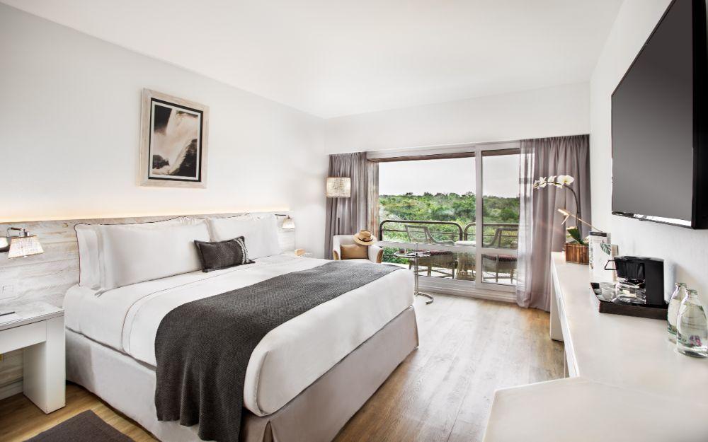 Deluxe Room Jungle View