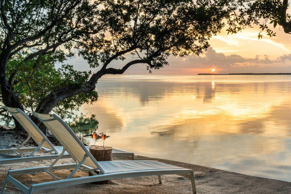 King Hammock View Room