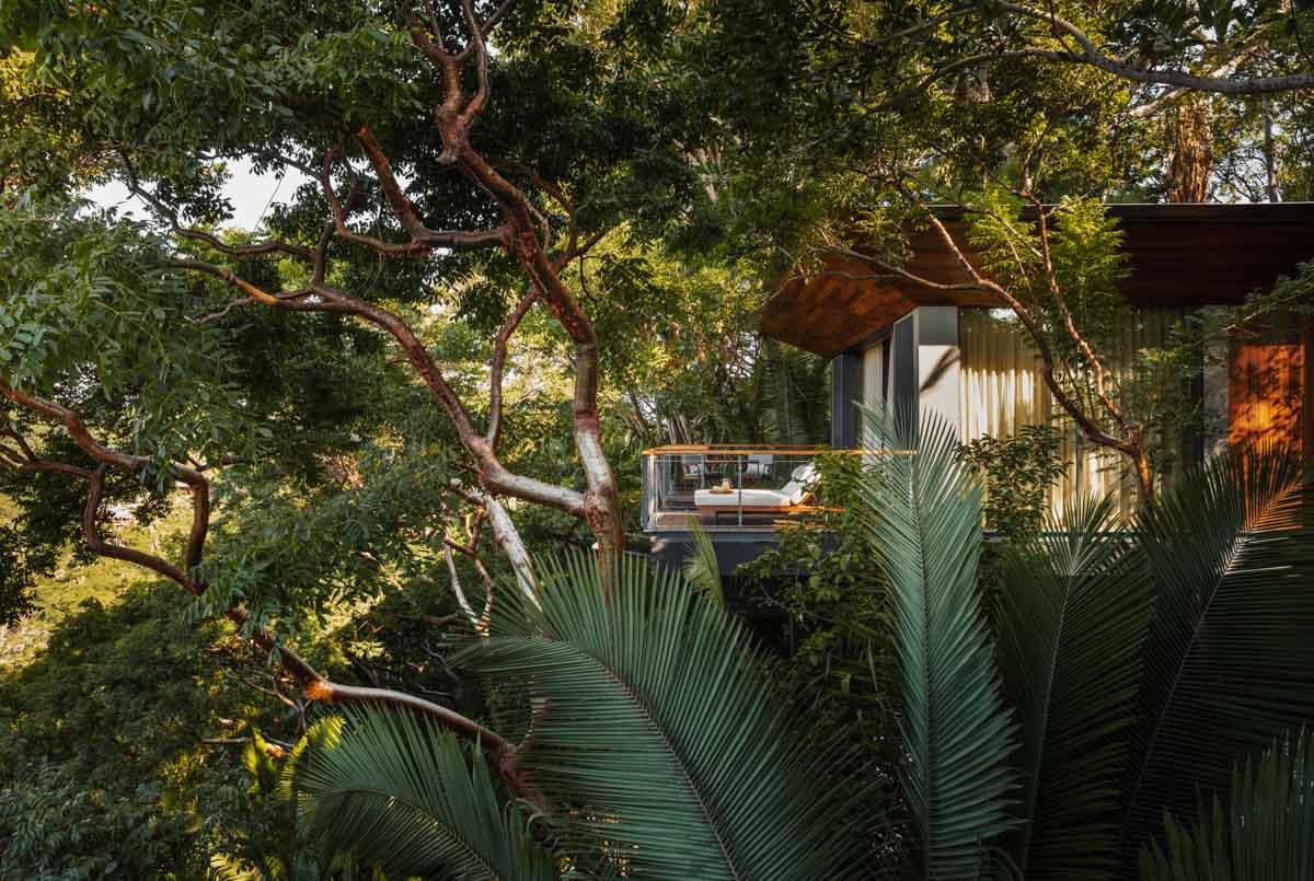 Treehouse