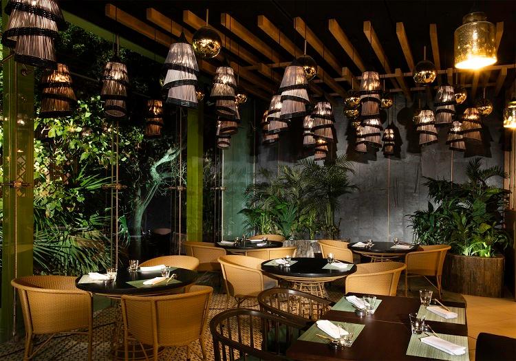Palmaïa - The House of AïA, Mexico — Palmaïa - The House of AïA