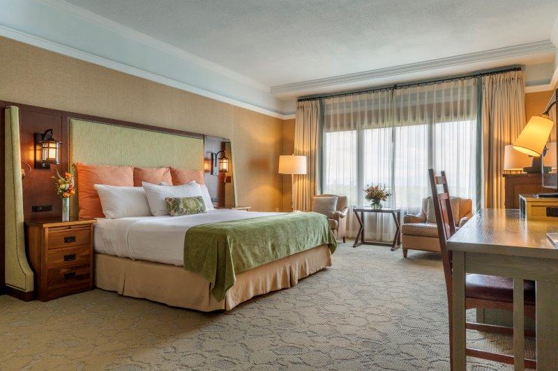 Premium Mountain View Rooms