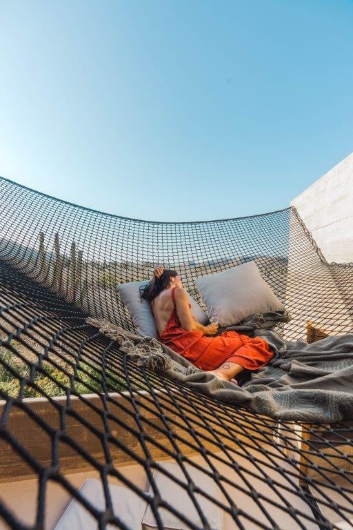 Cacti Sky Suite