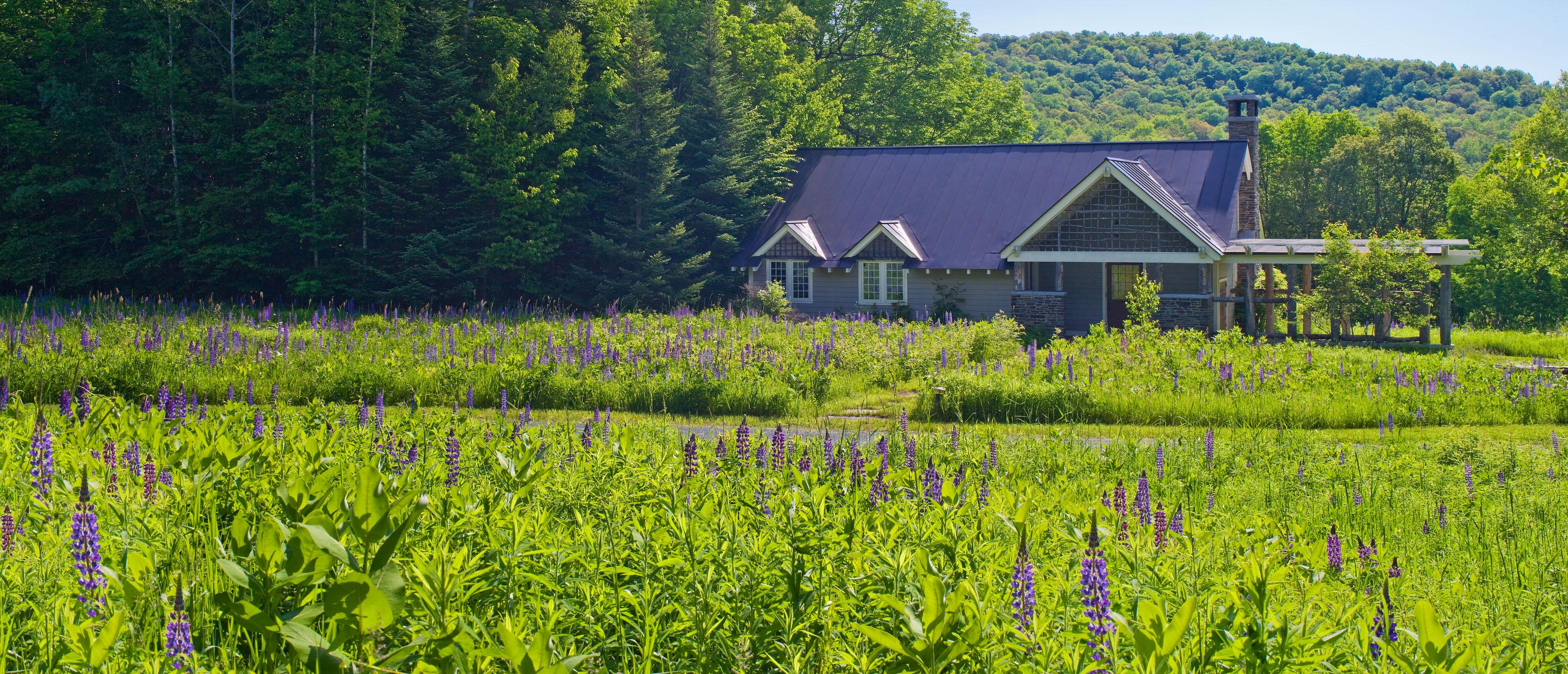 Meadow Cottage