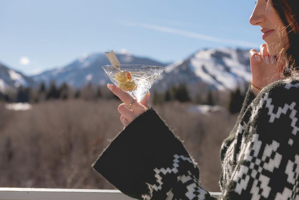 Aspen Meadows Resort, United States — Aspen Meadows Resort