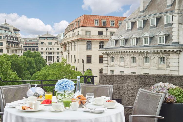 The Terrace