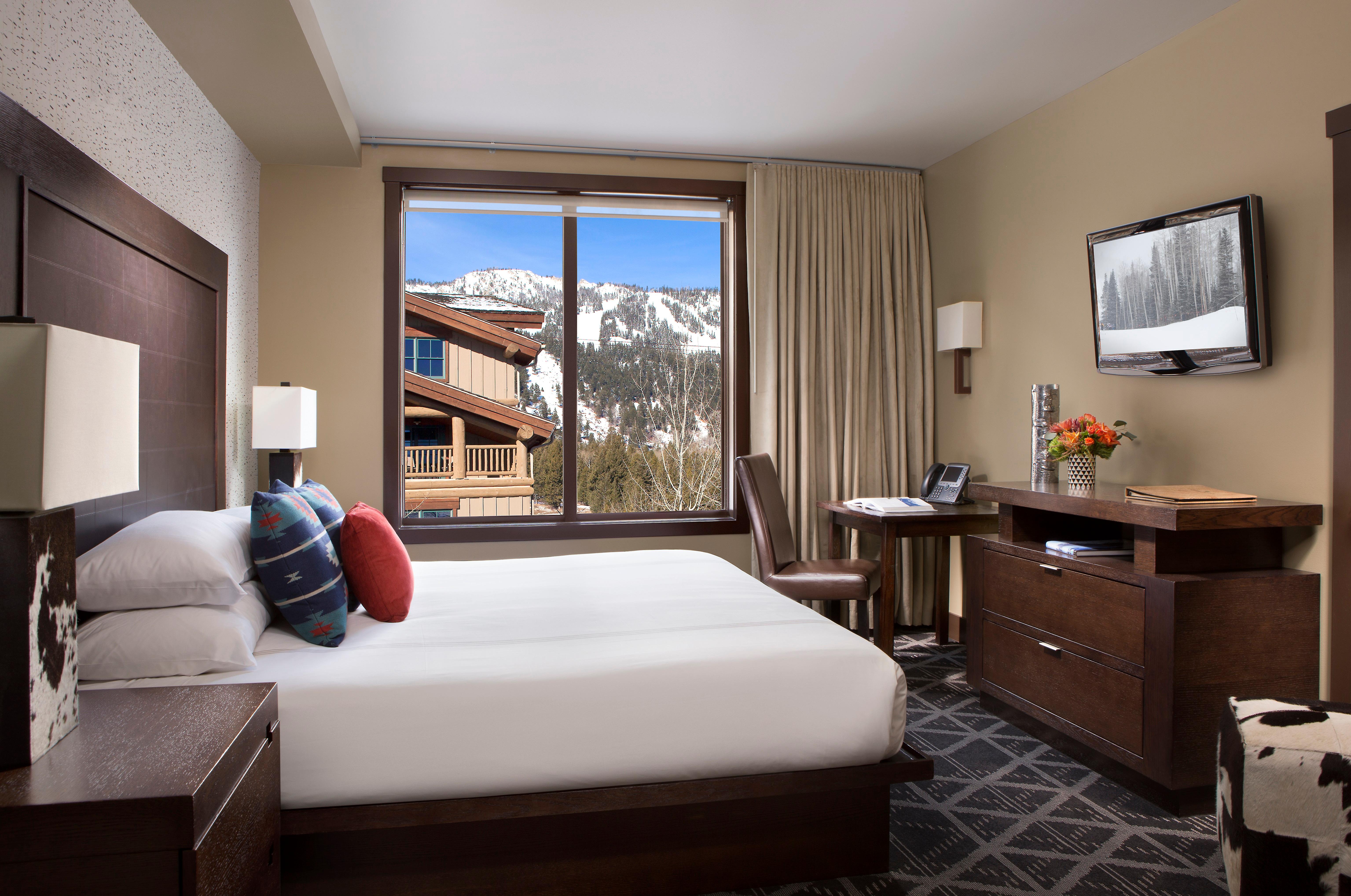Terra Guest Room