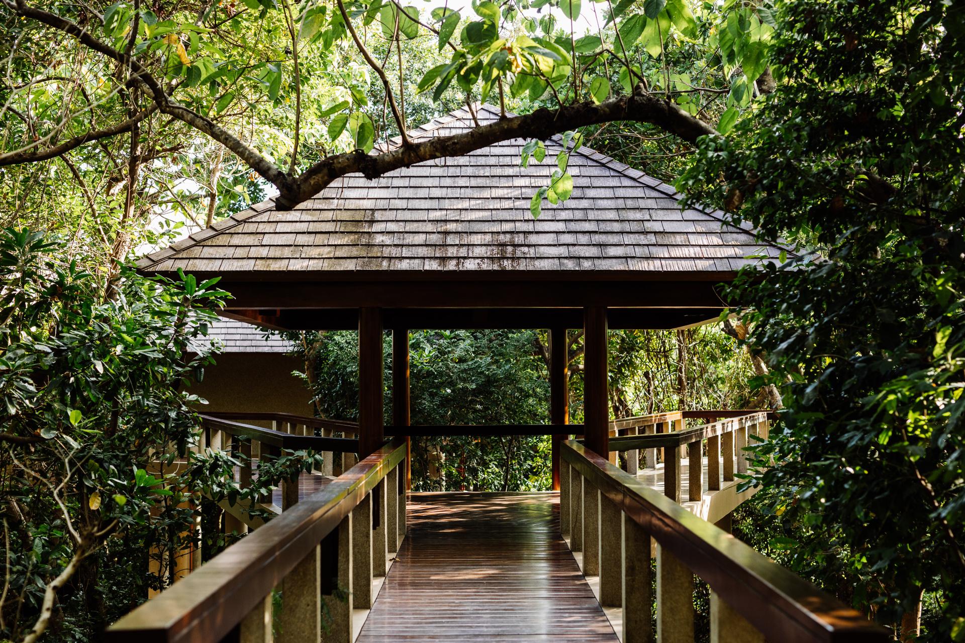 Treetop Casitas