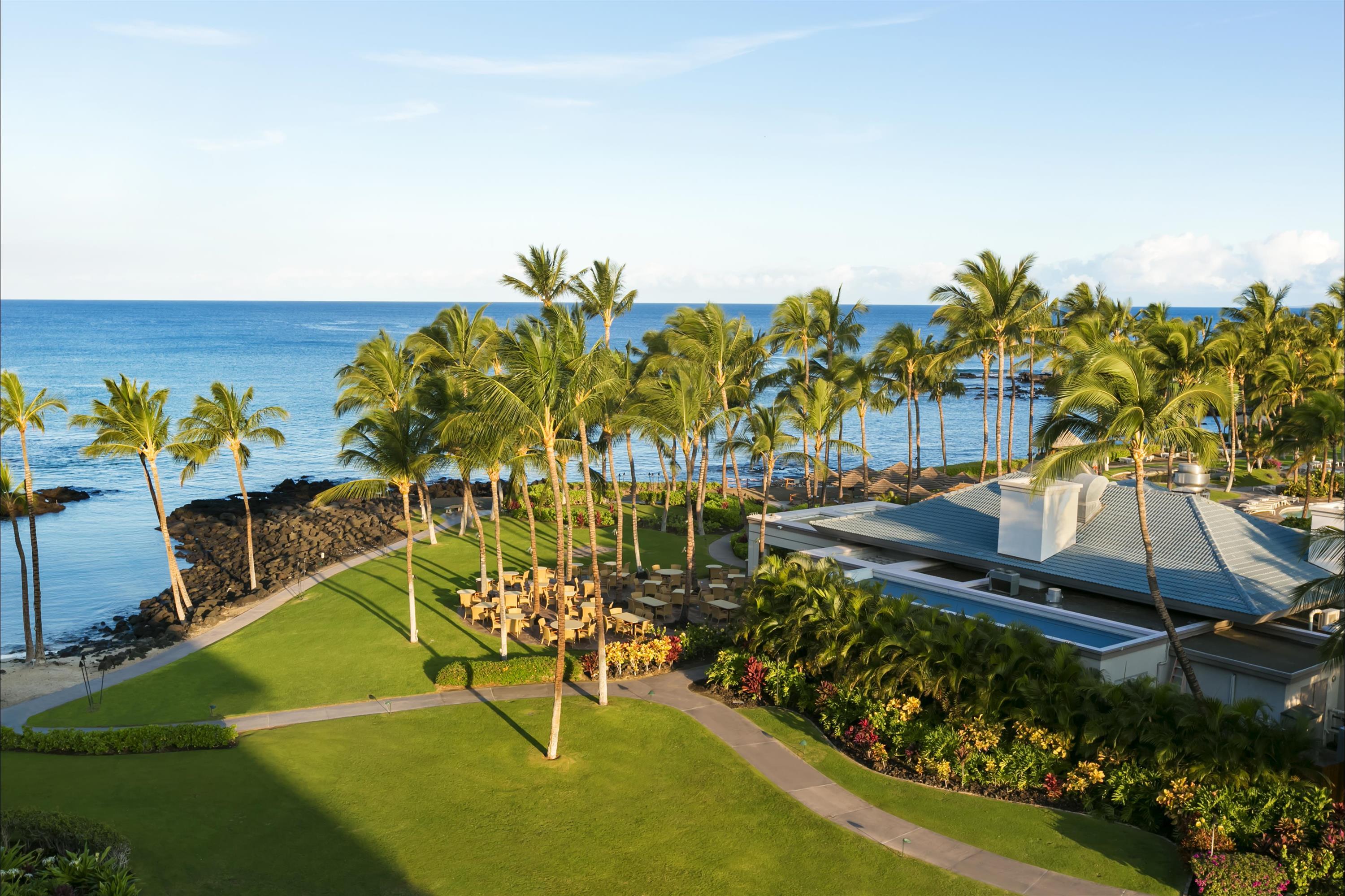 One Bedroom Suite Ocean View