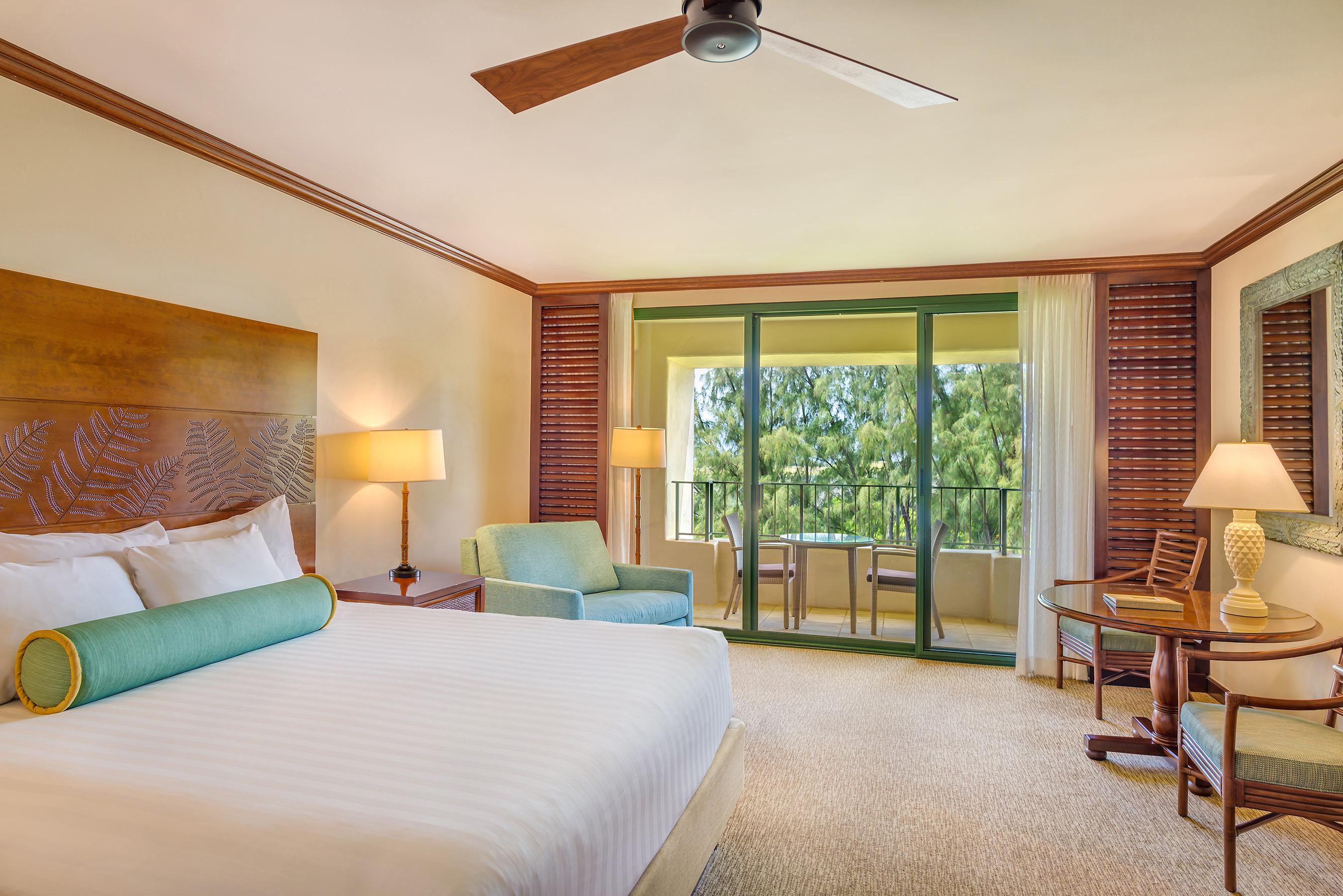 King Bed - 500 sq ft / View Varies