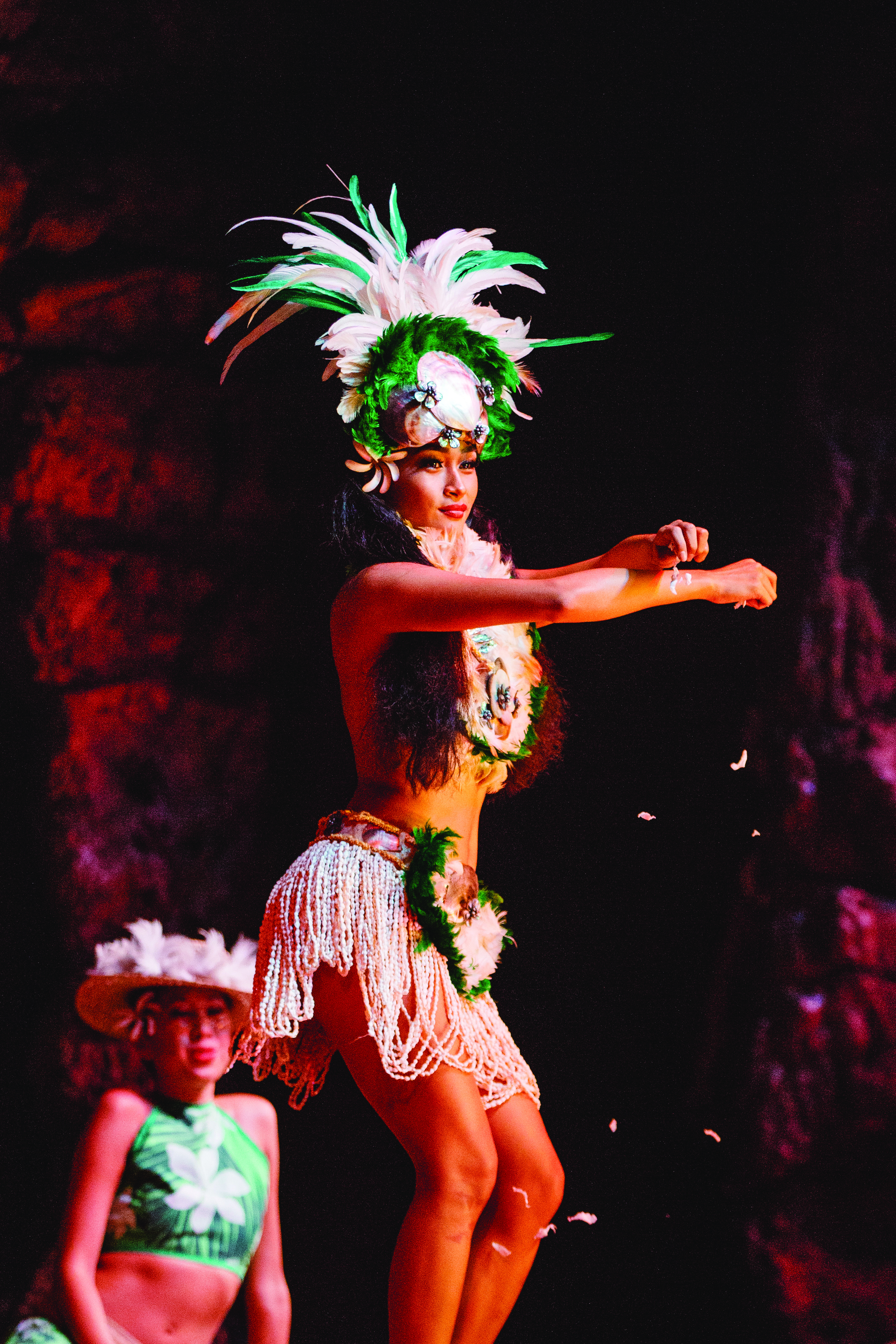 Hyatt Regency Maui Resort and Spa, United States — Hyatt Regency Maui Resort and Spa - Hula Performance